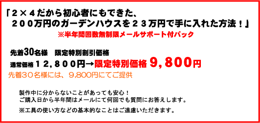 メールサポート付　９８００円